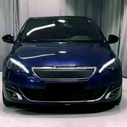 Peugeot 308 2.0 / HDI / GT-Line / Pano /